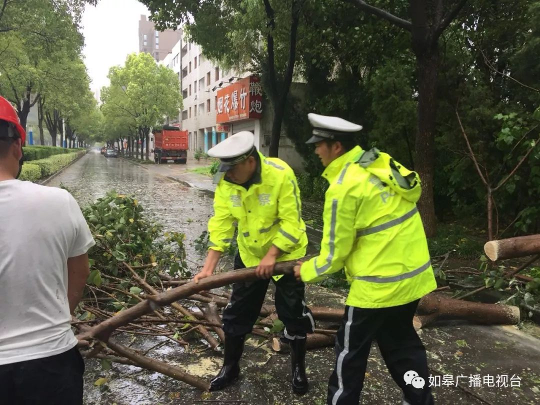 台风十九号最新动态,风暴崛起与广泛影响