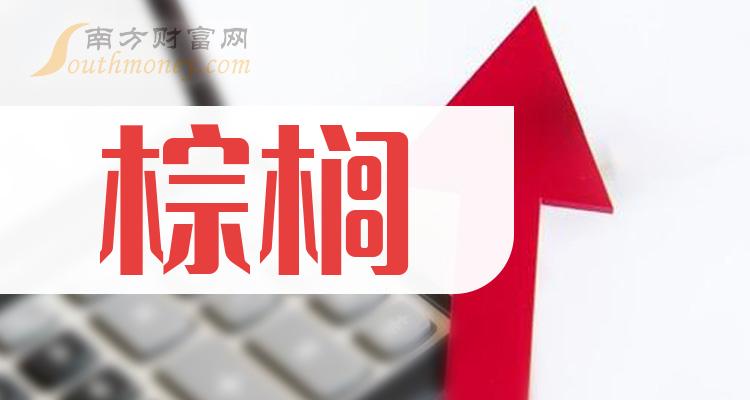 棕榈股份最新动态,回望过去,前瞻未来