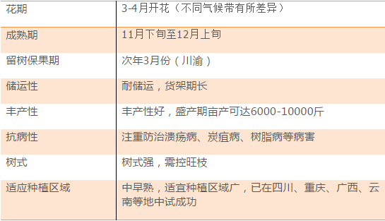 一站式城市服务平台 第158页