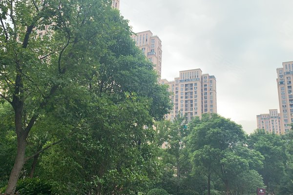 正荣幸福城邦最新动态,邻里日常趣事与温馨陪伴的幸福生活