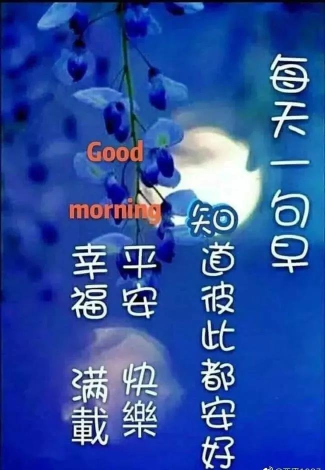 暖心理新活动,爱与陪伴的温馨之旅