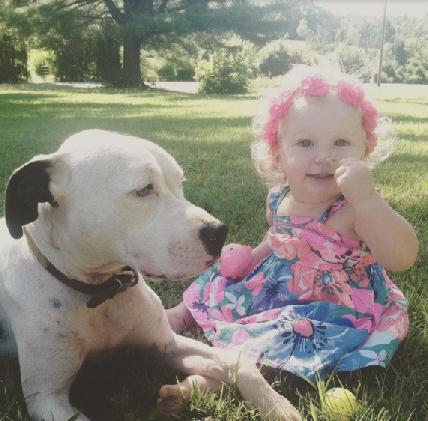 暖心理新活动,爱与陪伴的温馨之旅