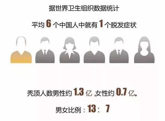 一站式城市服务平台 第147页