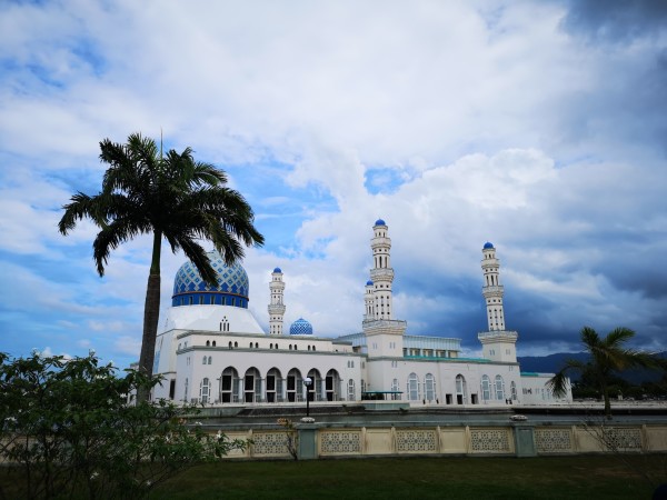 深圳股票之旅,探寻股市魅力与自然的和谐之美