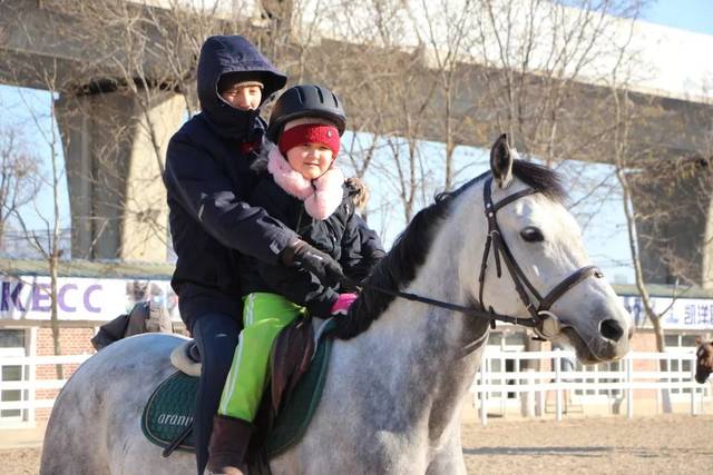 最新马术资讯,马背上的温情日常