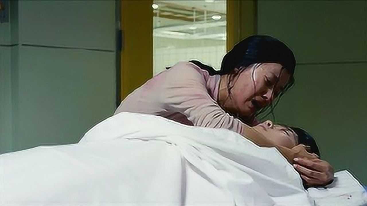 被侵犯的电影,一场日常冒险之旅的温馨之旅