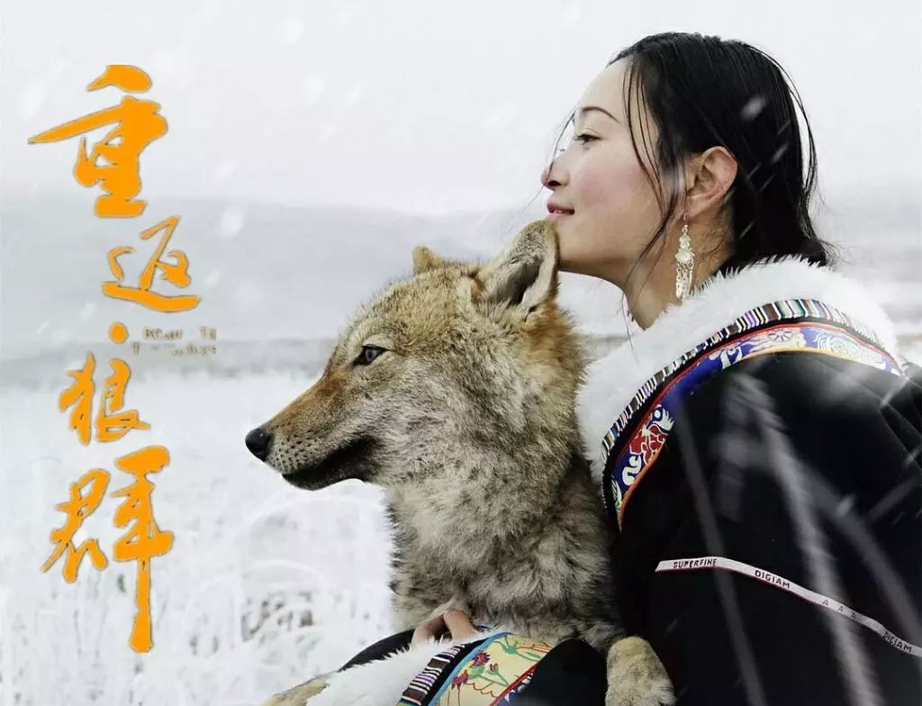 雌狼电影详解,如何观看并深度理解一部电影的指南