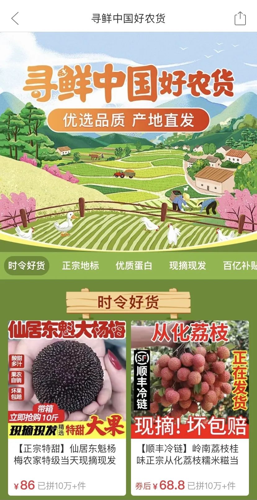 大麦价格探秘,小巷风情中的大麦故事