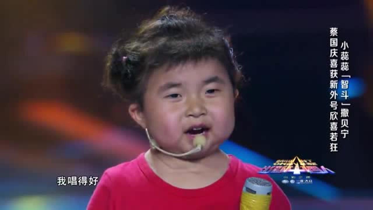 出彩中国人蕊蕊新篇,科技之光引领未来之路