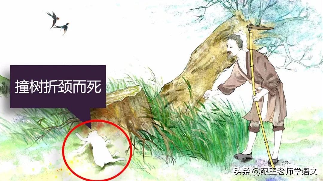 公众号微商城 第116页