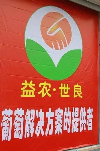 偃师最新高科技资讯，引领未来科技魅力体验