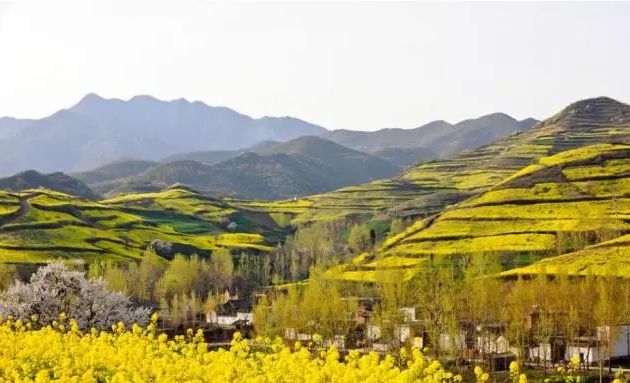 武山县运管局最新资讯,探索自然美景,寻找内心平和绿洲的旅行之旅