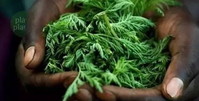 探索最新微信号趋势与价值，最新微信号的最新动态与影响力解析