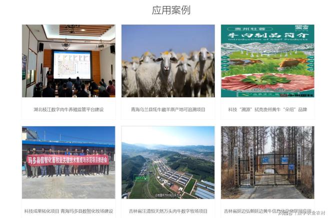 丰台疫情最新,丰台疫情最新，科技赋能，重塑防护新篇章
