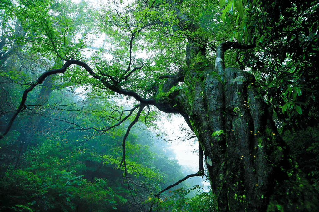 萌探最新探秘,带你领略全新世界!
