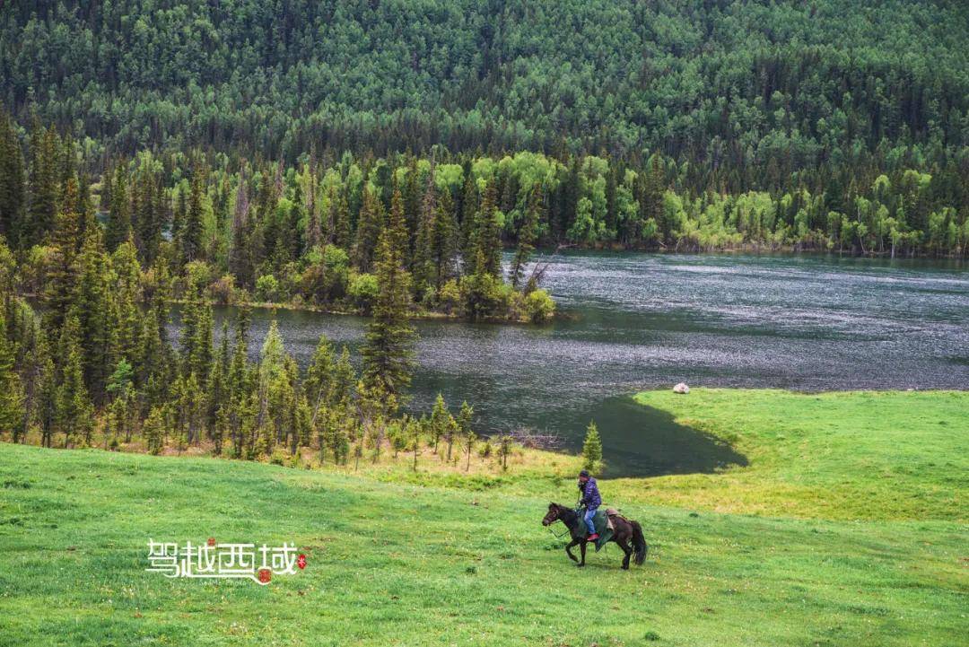 OPPO最新版,探索自然美景,寻觅内心宁静绿洲的轻松之旅
