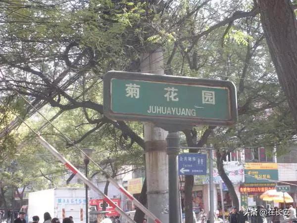 幼儿园最新招聘信息揭秘，探寻小巷中的教育宝藏之星