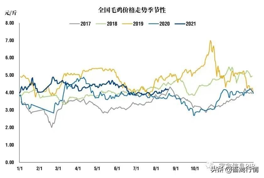 最新毛猪价格揭秘与市场动态分析！