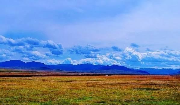 蔡家自然美景探索之旅，心灵的洗涤与觉醒最新消息