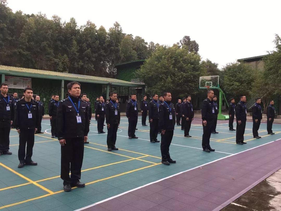 福州最新招聘信息全面概览
