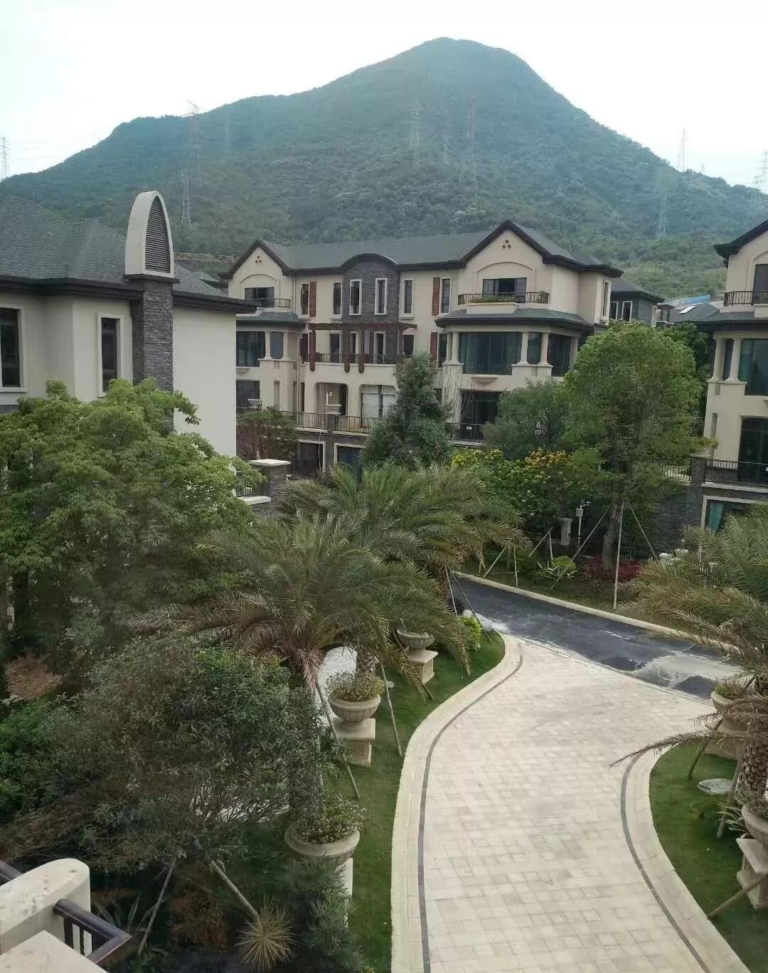 专升本最新动态及详细步骤指南，全面解析专升本最新消息与备考策略