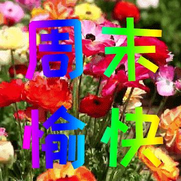 科技引领潮流，最新娱乐八卦神器，娱乐资讯无处不在